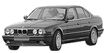 BMW E34 P290D Fault Code