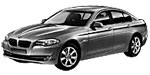 BMW F10 P290D Fault Code